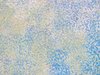 abstract spotted color texture