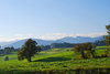 green hills