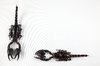 Black Scorpion Pair