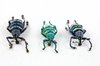 Eupholus Beetle Trio