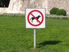 not for dogs