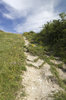 Footpath
