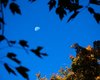 Moon over paradise