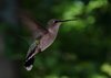 In Flight