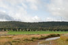 agriculture