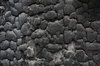 Burnt wood texture