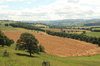 Harvest Field