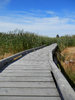 boardwalk