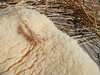 fleece