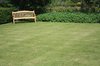 Wooden Bench