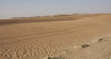 Tire Tracks through the Desert