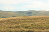 Rural landscape