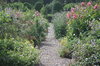 Country House Garden