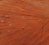 timber textures2