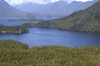 Vancouver Island from the air