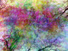Vivid Fantasy Collage 1