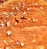 timber textures4