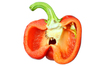 bell pepper