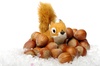 Squirrel, hazelnuts and snow