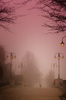 A walk in the mist