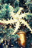 Christmas Theme 4