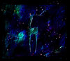 Fantasy Fractal Deer 1
