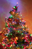 Christmas Tree 6