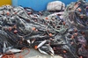 Fishing net