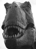 Dinosaur.