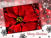 Merry Xmas