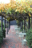Autumn in Massachusett
