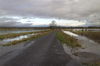 Flooded landscape