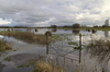 Flooded fields