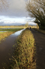 Flooded landscape