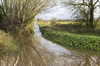 Ditch
