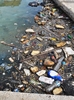 Pollution