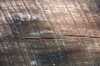 Weathered Wood