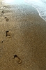 Footprints in the sand