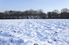 Snowy fields