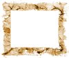 Wild Frame or Border 5