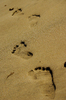 Follow my steps 1