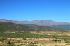 Summer landscape