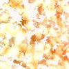 Falling Petals 3
