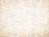 Cloves Texture 1