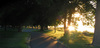 Summer Park