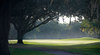 Golf Course - 3rd Green