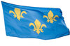 Fleur-de-lis flag