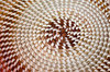 Basket weave