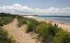 Sandy coast path