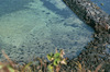 Jeju island coast rock in KORE